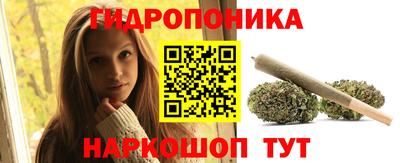PSILOCYBIN Донской