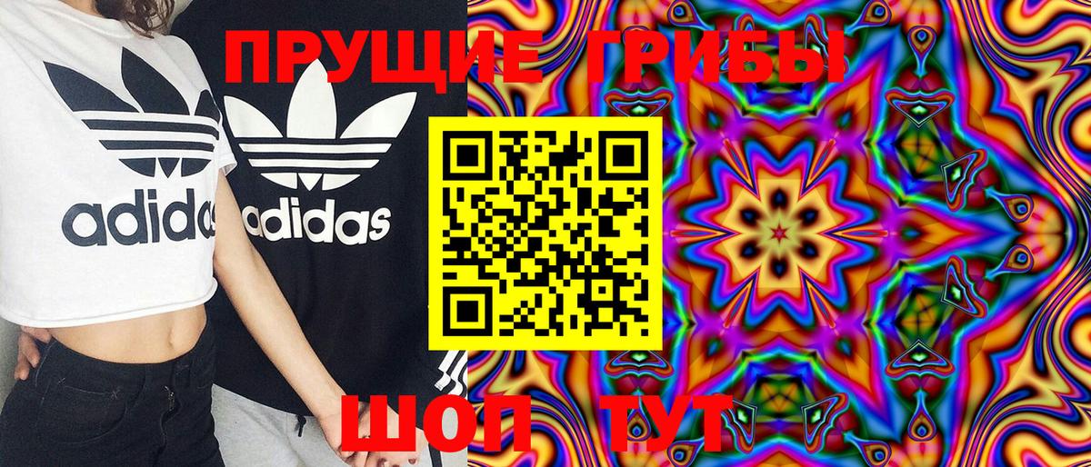 Моздок  Псилоцибиновые грибы Psilocybe  Вход с VPN  Галлюциногенные грибы мухоморы 